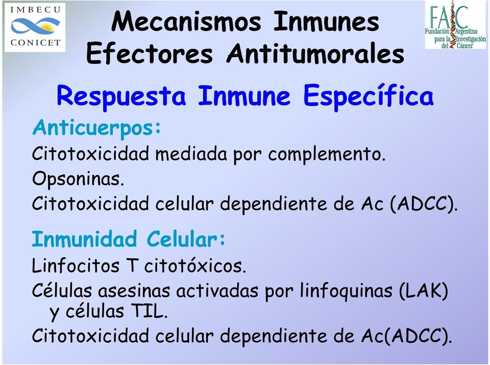 Citotoxicidad celular dependiente de Ac (ADCC).