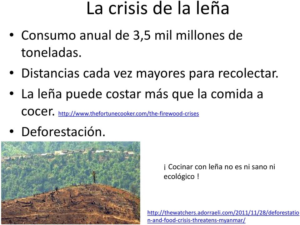 http://www.thefortunecooker.com/the-firewood-crises Deforestación.