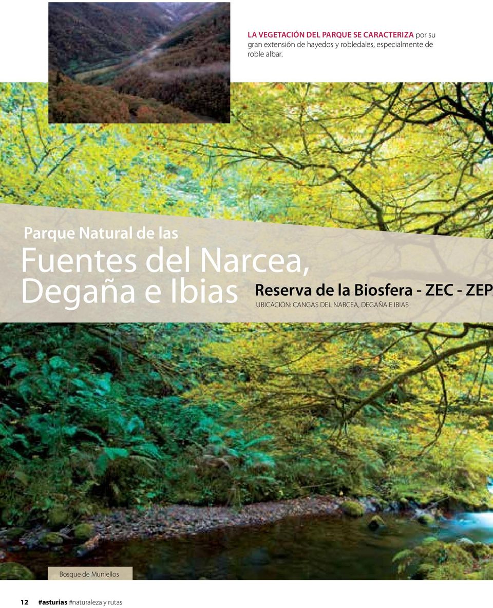 Parque Natural de las Fuentes del Narcea, Degaña e Ibias Reserva de