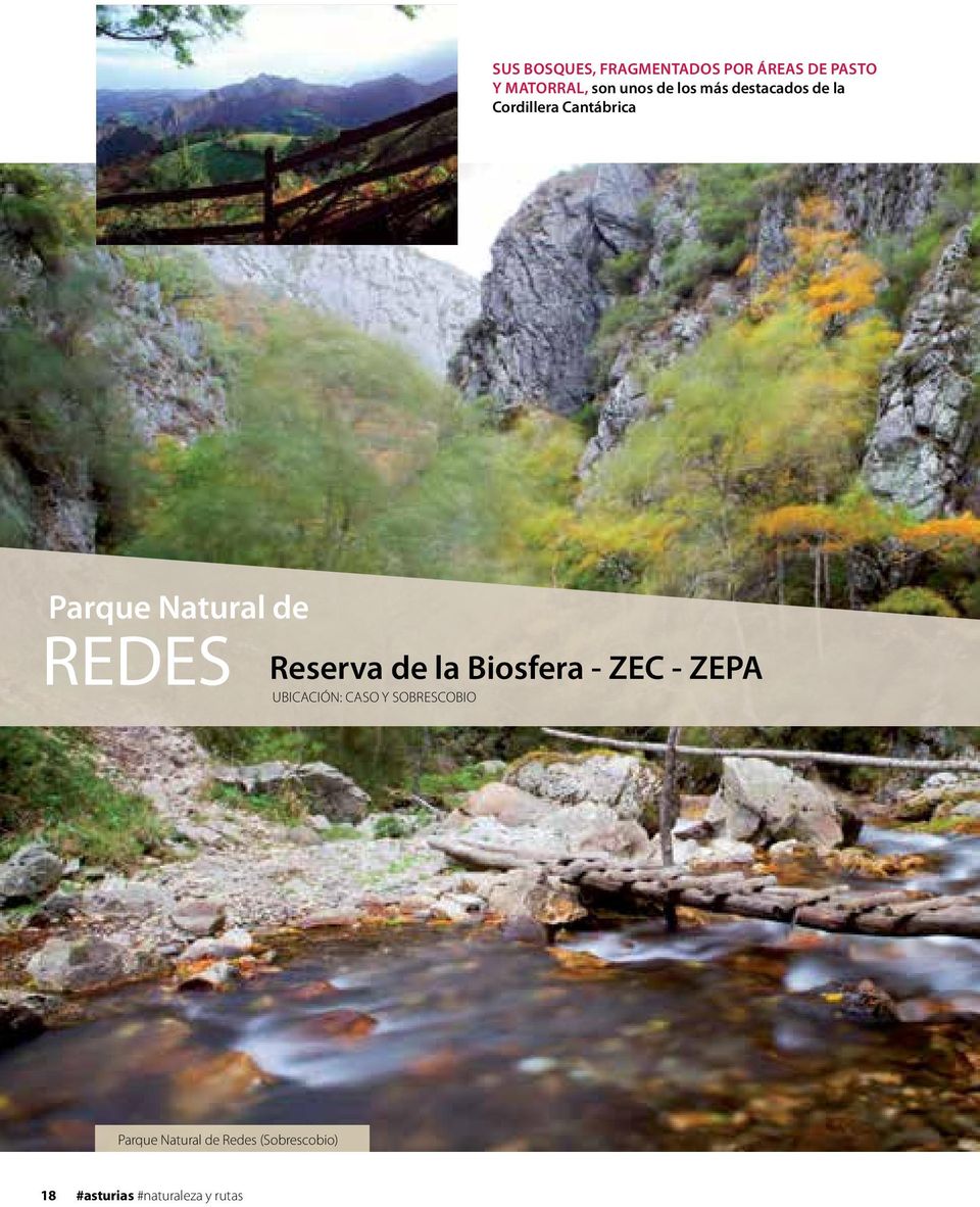 Natural de REDES Reserva de la Biosfera - ZEC - ZEPA