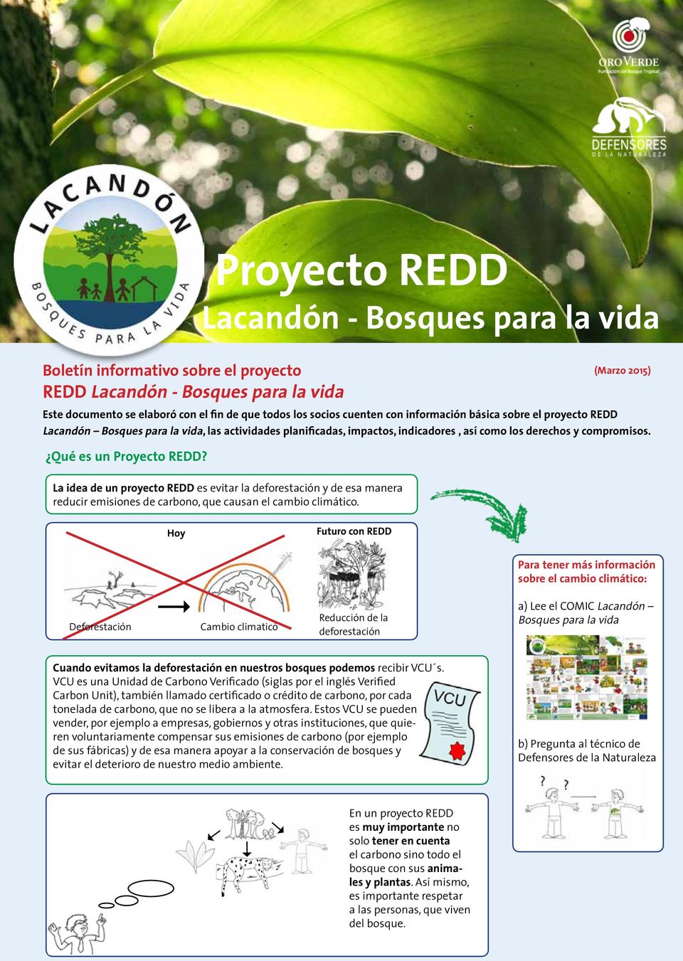 Lacandón - Bosques para la vida La idea de un proyecto REDD es evitar la deforestación y de esa manera reducir emisiones de carbono, que causan el cambio climático.
