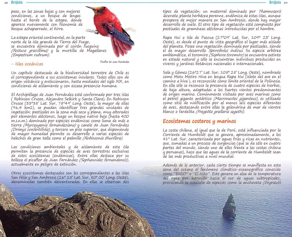 rubrum). - Islas oceánicas Un capítulo destacado de la biodiversidad terrestre de Chile es el correspondiente a sus ecosistemas insulares.