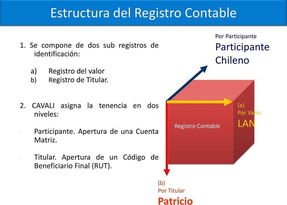 Por Participante Participante Chileno 2. CAVALI asigna la tenencia en dos niveles: Participante.