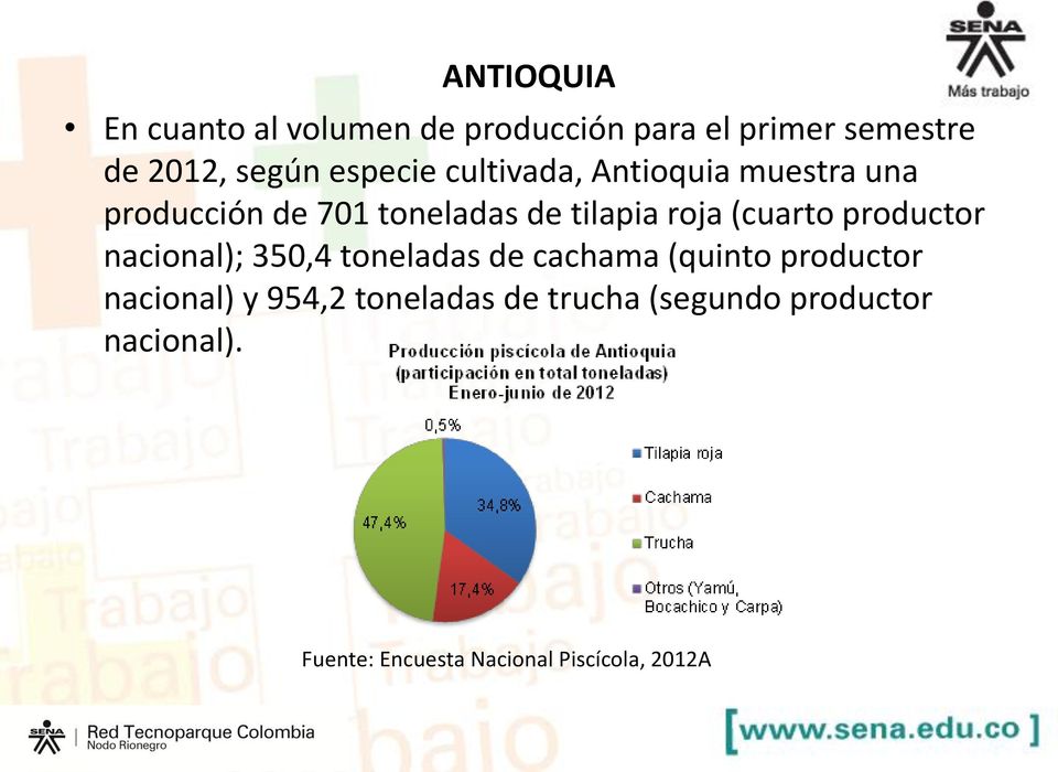 (cuarto productor nacional); 350,4 toneladas de cachama (quinto productor nacional) y