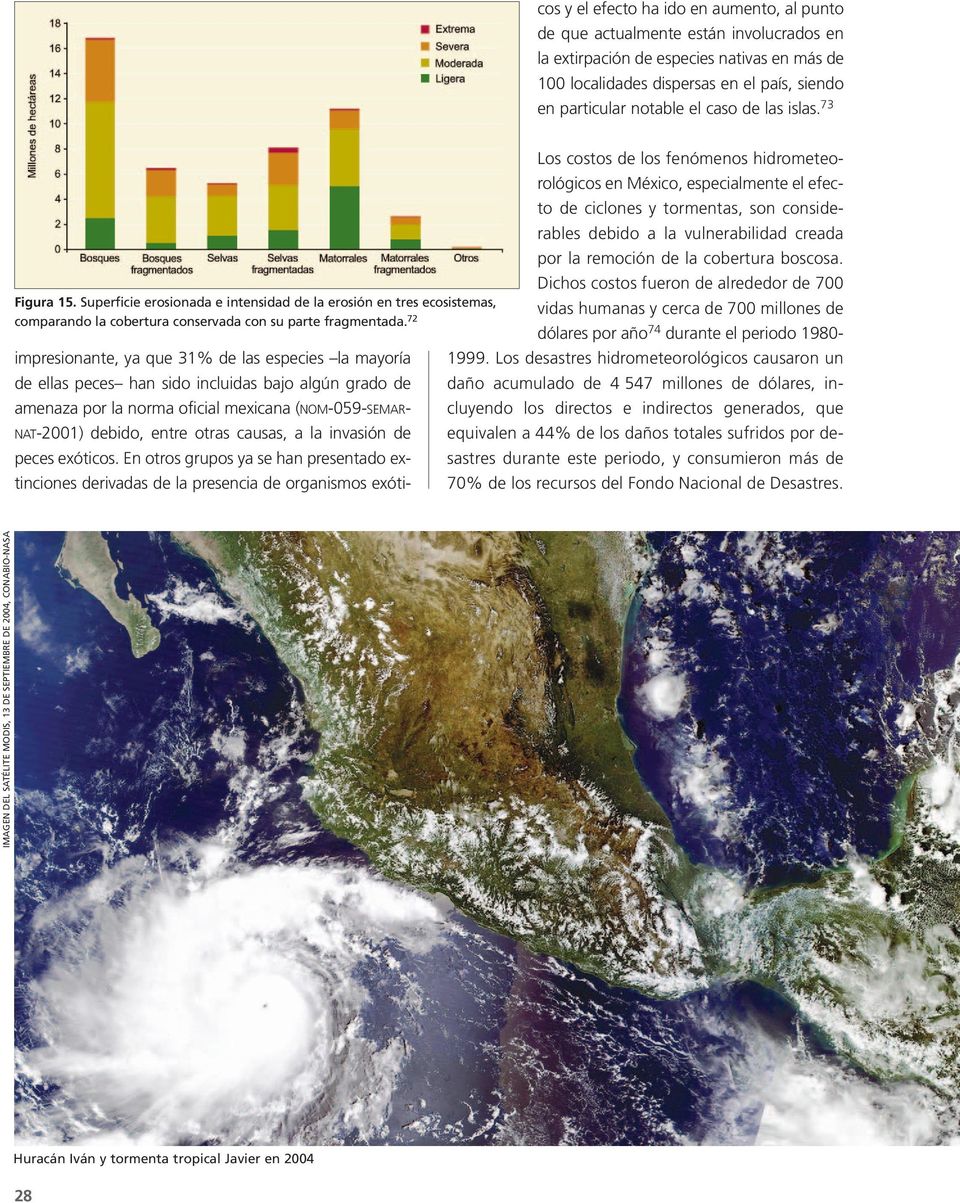 73 Los costos de los fenómenos hidrometeorológicos en México, especialmente el efecto de ciclones y tormentas, son considerables debido a la vulnerabilidad creada por la remoción de la cobertura