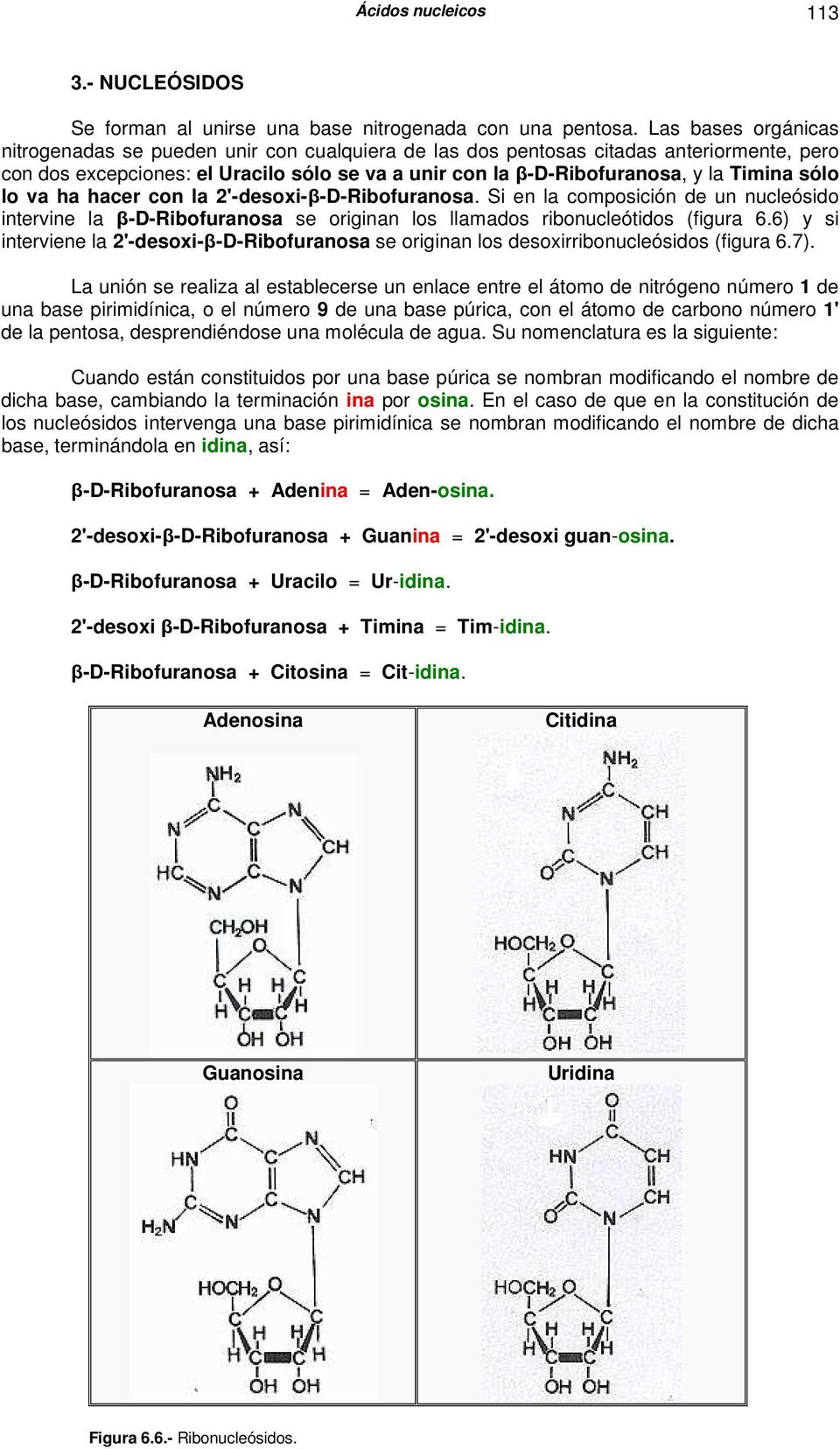 sólo lo va ha hacer con la 2'-desoxi-β-D-Ribofuranosa. Si en la composición de un nucleósido intervine la β-d-ribofuranosa se originan los llamados ribonucleótidos (figura 6.