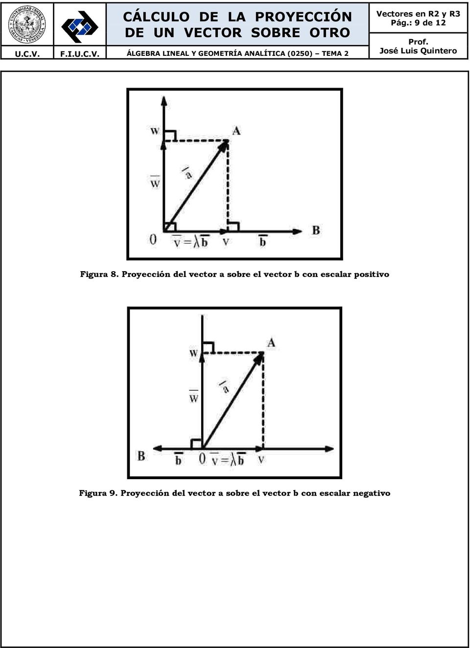 el vector b con escalar positivo Figura 9