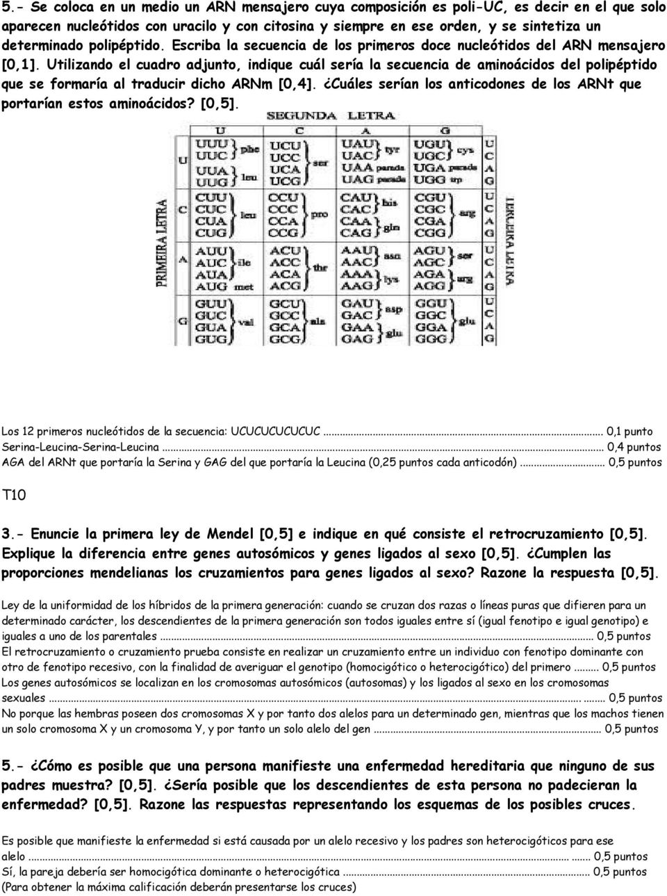 Utilizando el cuadro adjunto, indique cuál sería la secuencia de aminoácidos del polipéptido que se formaría al traducir dicho ARNm [0,4].