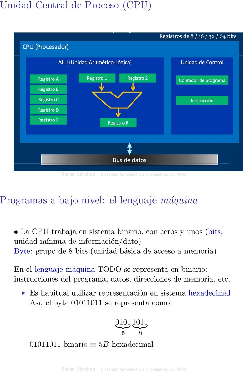 máquina TODO se representa en binario: instrucciones del programa, datos, direcciones de memoria, etc.