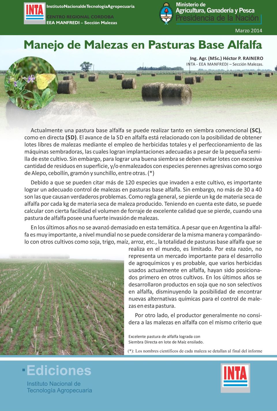 El avance de la SD en alfalfa está relacionado con la posibilidad de obtener lotes libres de malezas mediante el empleo de herbicidas totales y el perfeccionamiento de las máquinas sembradoras, las