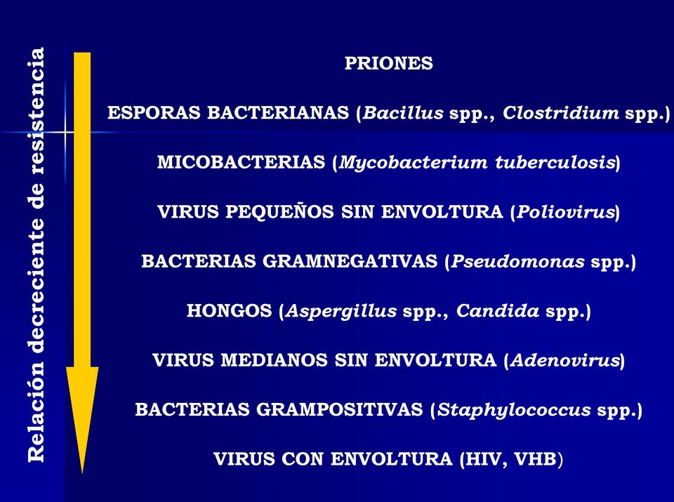 BACTERIAS GRAMNEGATIVAS (Pseudomonas spp.) HONGOS (Aspergillus spp., Candida spp.