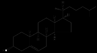 Fosfolípido Colesterol 17.