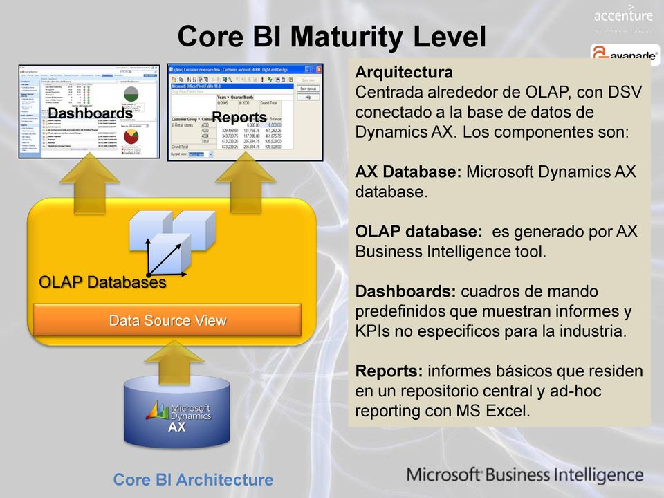 OLAP database: es generado por AX Business Intelligence tool.
