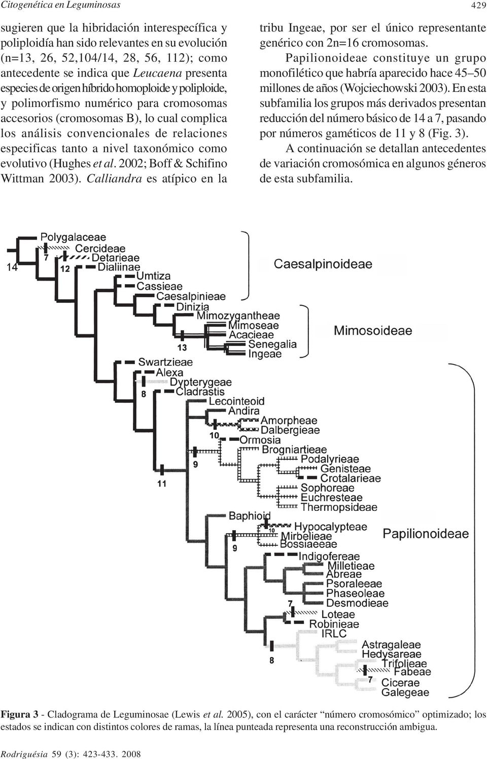 tanto a nivel taxonómico como evolutivo (Hughes et al. 2002; Boff & Schifino Wittman 2003). Calliandra es atípico en la 429 tribu Ingeae, por ser el único representante genérico con 2n=16 cromosomas.