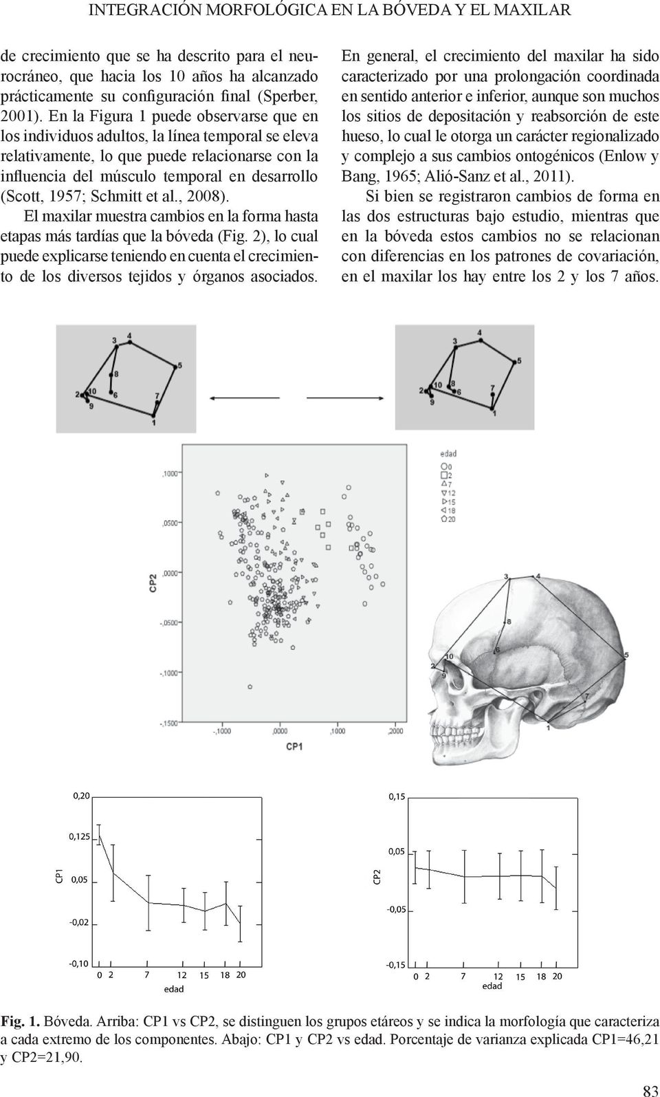 Schmitt et al., 2008). El maxilar muestra cambios en la forma hasta etapas más tardías que la bóveda (Fig.