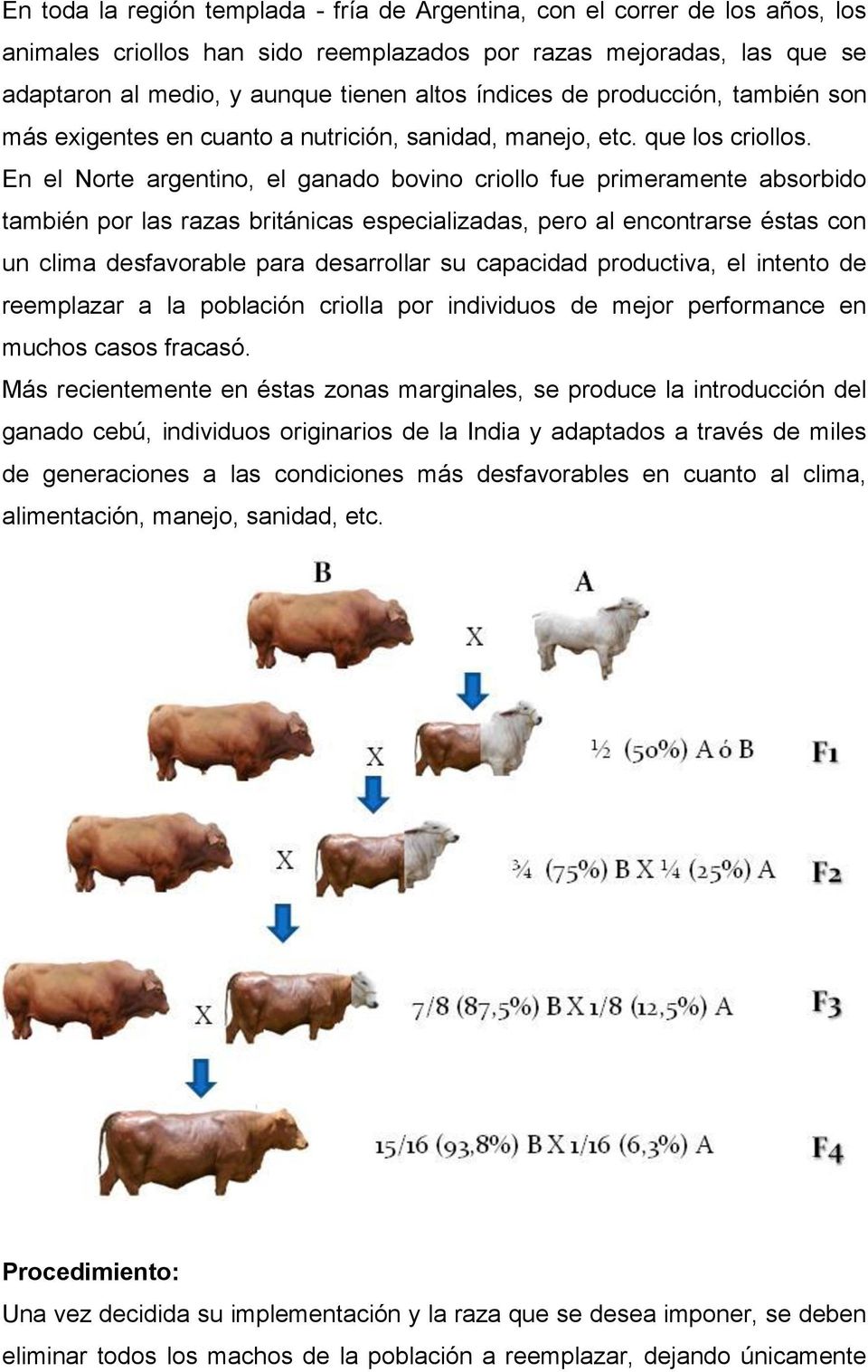 En el Norte argentino, el ganado bovino criollo fue primeramente absorbido también por las razas británicas especializadas, pero al encontrarse éstas con un clima desfavorable para desarrollar su
