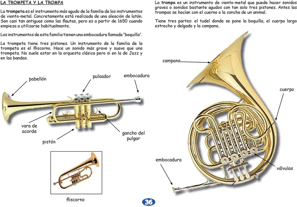La trompa es un instrumento de viento-metal que puede hacer sonidos graves o sonidos bastante agudos con tan solo tres pistones. Antes las trompas se hacían con el cuerno o la concha de un animal.