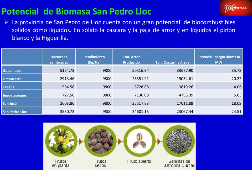 Cascarilla Arroz Potencia Energía Biomasa MW Guadalupe 5154.78 9800 50516.84 33677.90 35.78 Limoncarro 2913.46 9800 28551.91 19034.61 20.22 Tecapa 584.