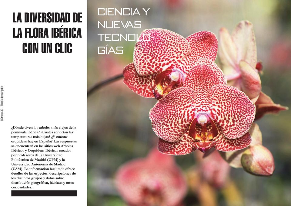 Las respuestas se encuentran en los sitios web Árboles Ibéricos y Orquídeas Ibéricas creados por profesores de la Universidad Politécnica de Madrid