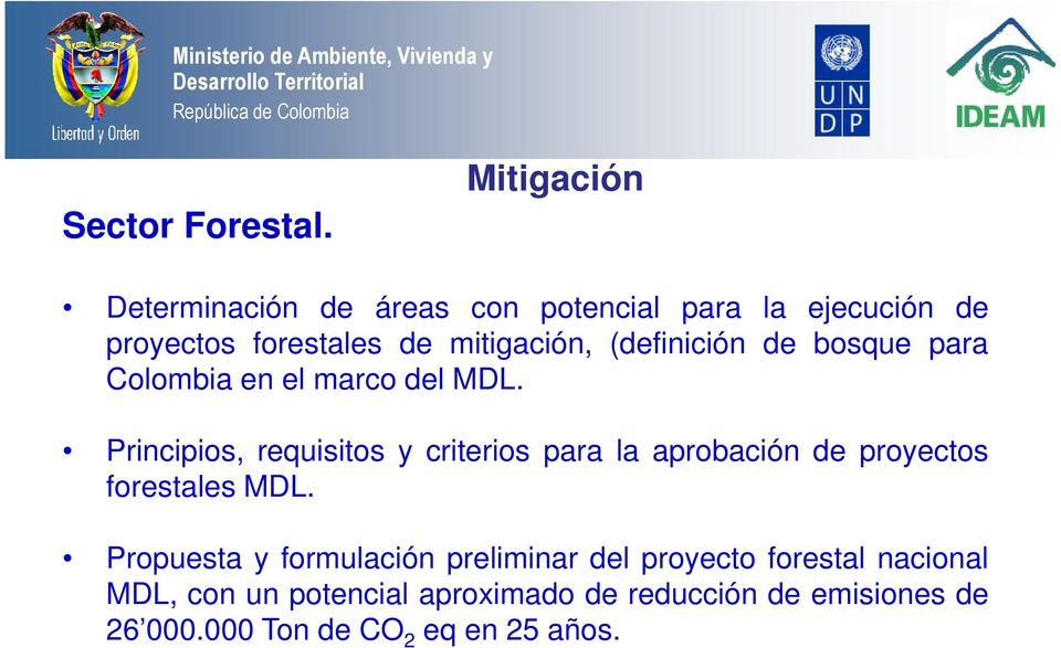 (definición de bosque para Colombia en el marco del MDL.