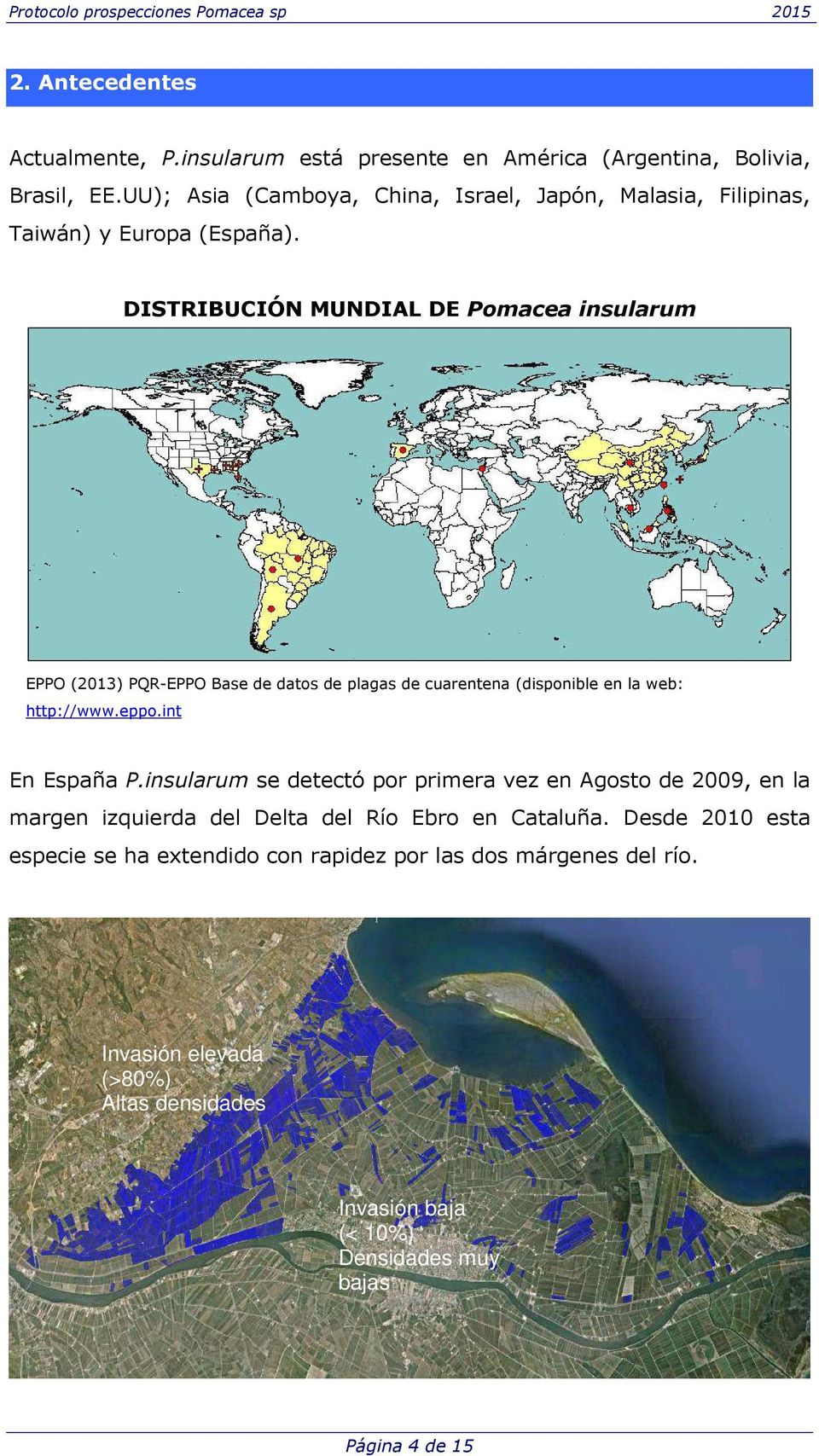 DISTRIBUCIÓN MUNDIAL DE Pomacea insularum EPPO (2013) PQR-EPPO Base de datos de plagas de cuarentena (disponible en la web: http://www.eppo.int En España P.