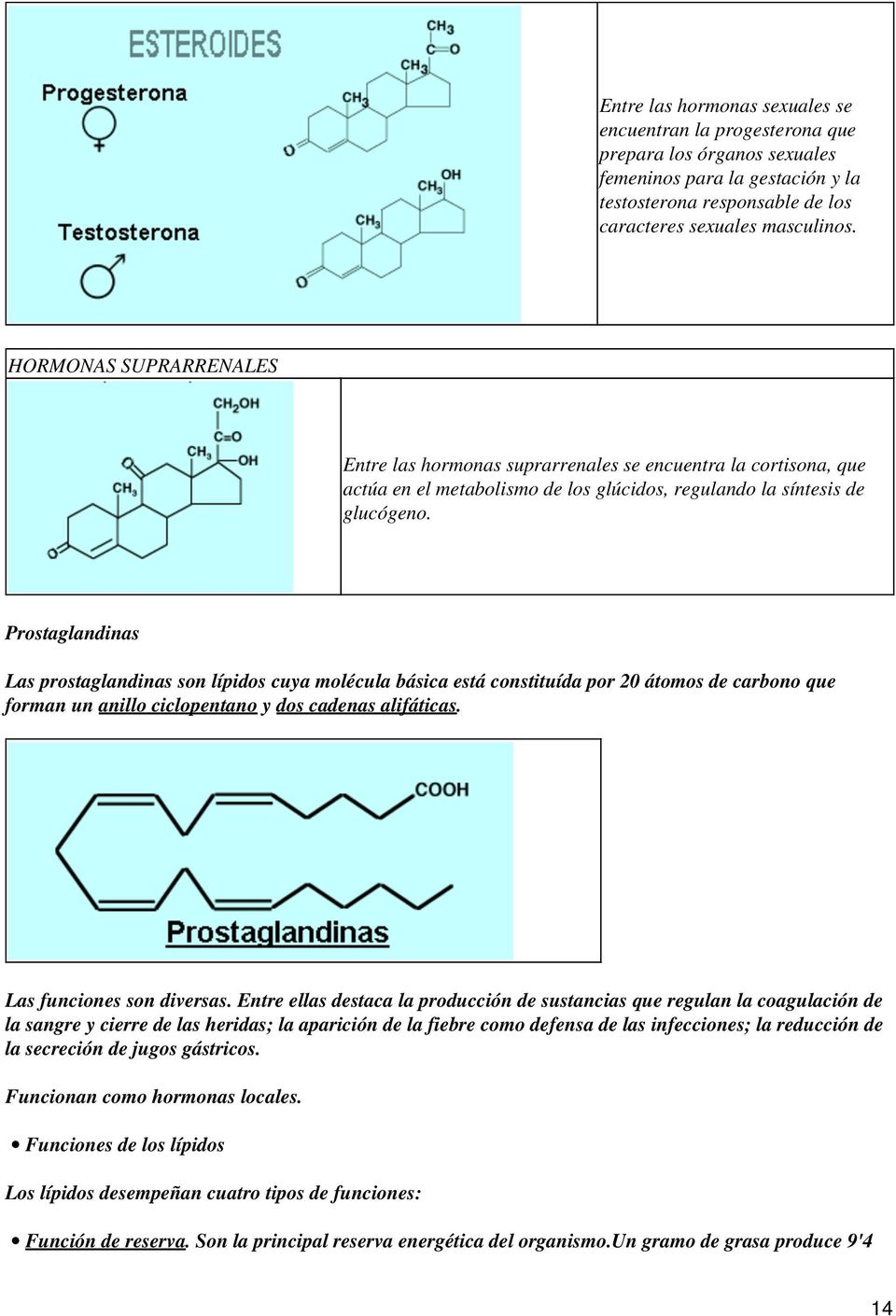 Prostaglandinas Las prostaglandinas son lípidos cuya molécula básica está constituída por 20 átomos de carbono que forman un anillo ciclopentano y dos cadenas alifáticas. Las funciones son diversas.
