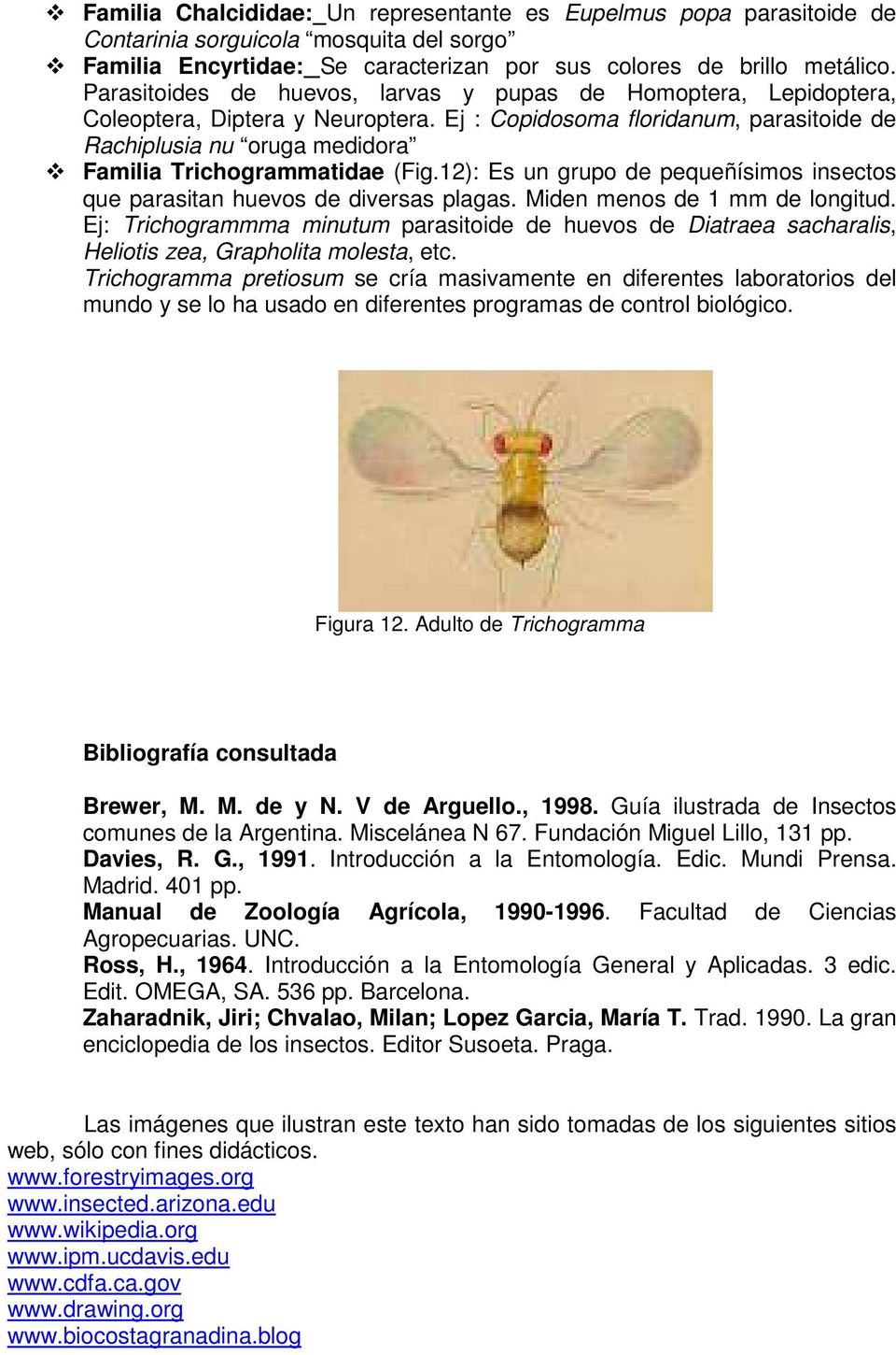 Ej : Copidosoma floridanum, parasitoide de Rachiplusia nu oruga medidora Familia Trichogrammatidae (Fig.12): Es un grupo de pequeñísimos insectos que parasitan huevos de diversas plagas.