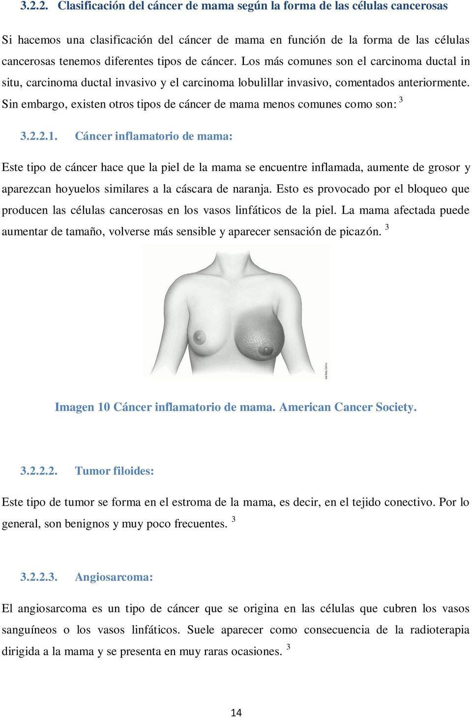 Sin embargo, existen otros tipos de cáncer de mama menos comunes como son: 3 3.2.2.1.