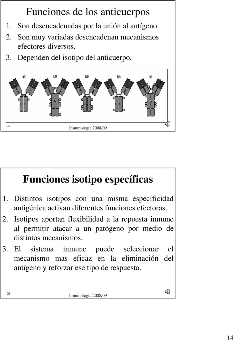 Distintos isotipos con una misma especificidad antigénica activan diferentes funciones efectoras. 2.