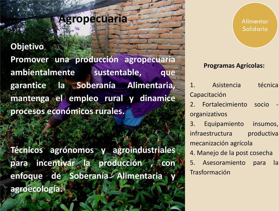 Técnicos agrónomos y agroindustriales para incentivar la producción, con enfoque de Soberanía Alimentaria y agroecología.