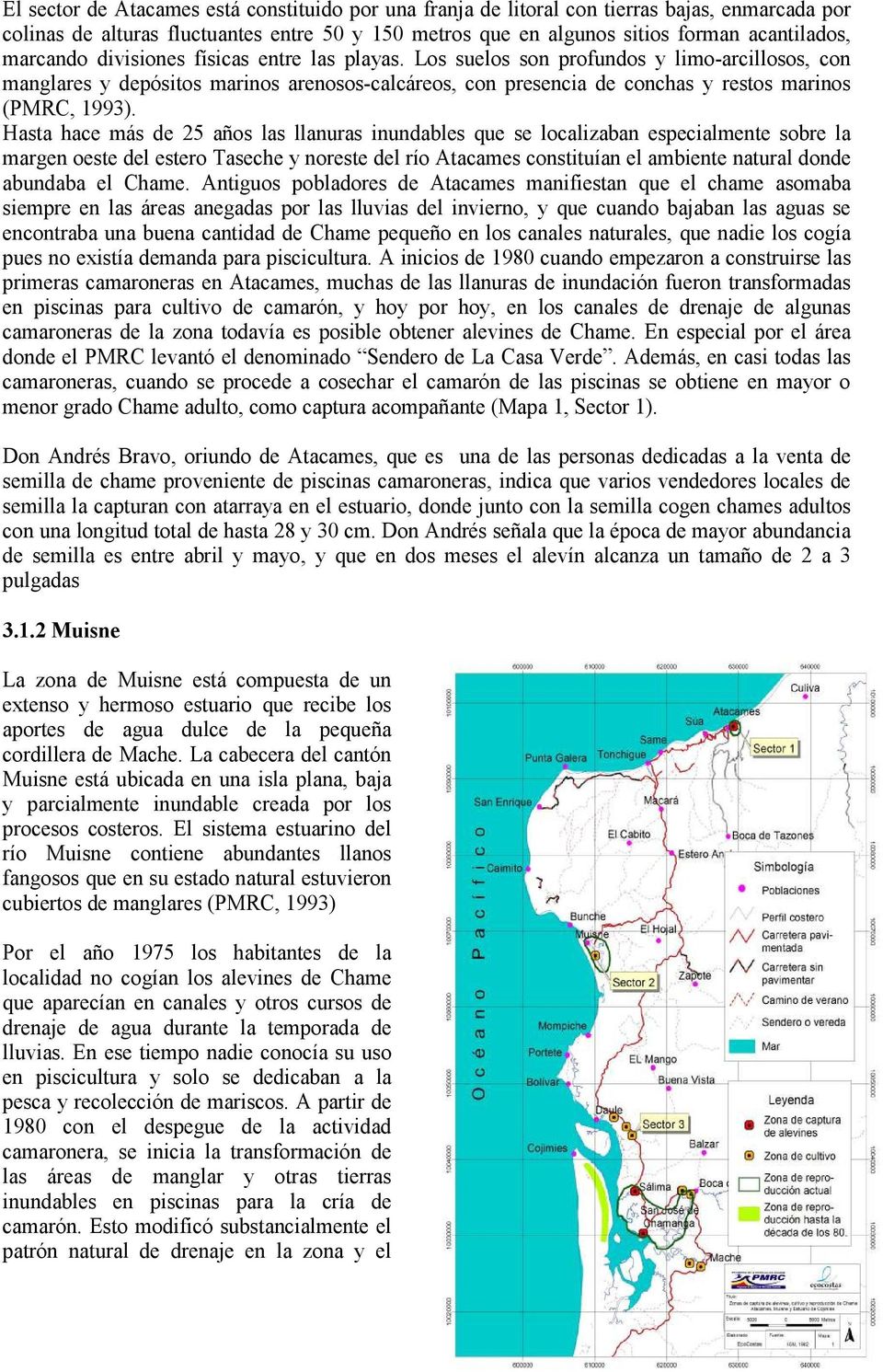 Hasta hace más de 25 años las llanuras inundables que se localizaban especialmente sobre la margen oeste del estero Taseche y noreste del río Atacames constituían el ambiente natural donde abundaba