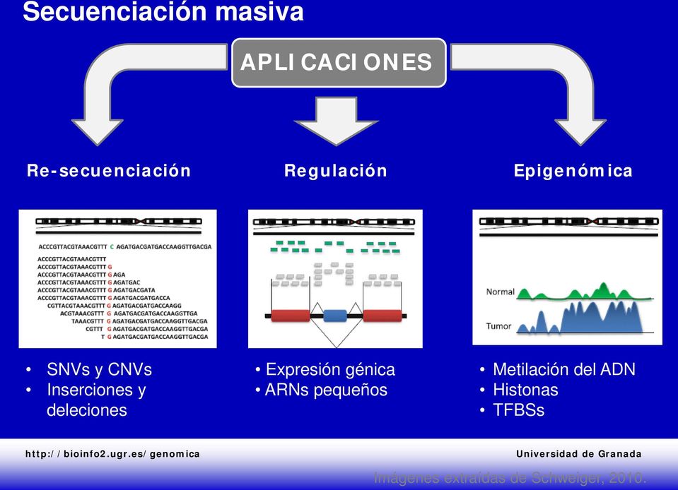 deleciones Expresión génica ARNs pequeños Metilación