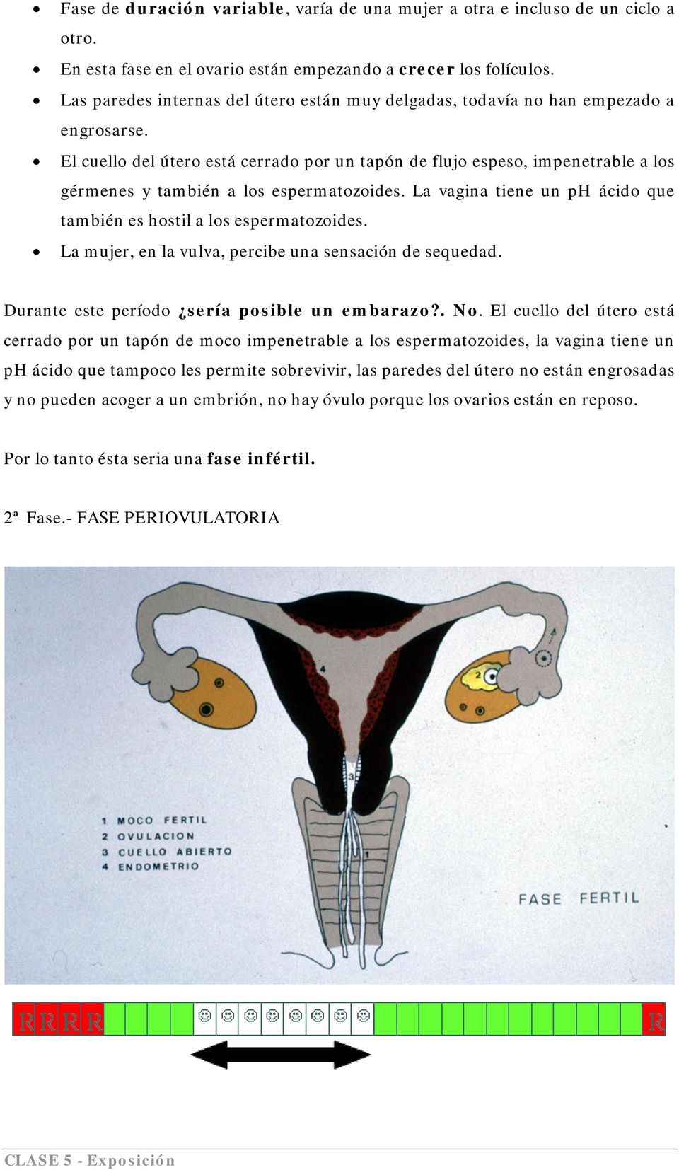 El cuello del útero está cerrado por un tapón de flujo espeso, impenetrable a los gérmenes y también a los espermatozoides. La vagina tiene un ph ácido que también es hostil a los espermatozoides.