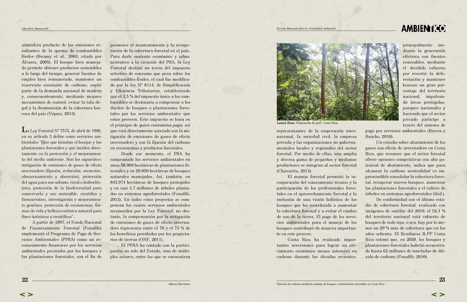 nacional de madera y, consecuentemente, mediante mejores mecanismos de control, evitar la tala ilegal y la disminución de la cobertura boscosa del país (Víquez, 2013).