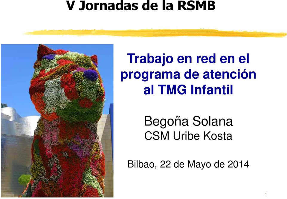 TMG Infantil Begoña Solana CSM