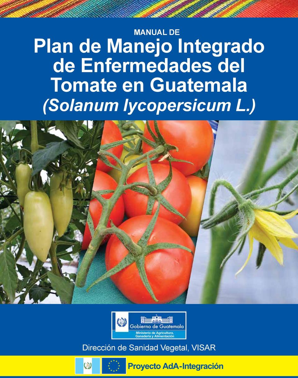 Tomate en Guatemala (Solanum
