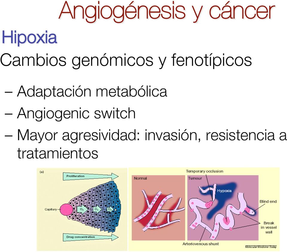 metabólica Angiogenic switch Mayor