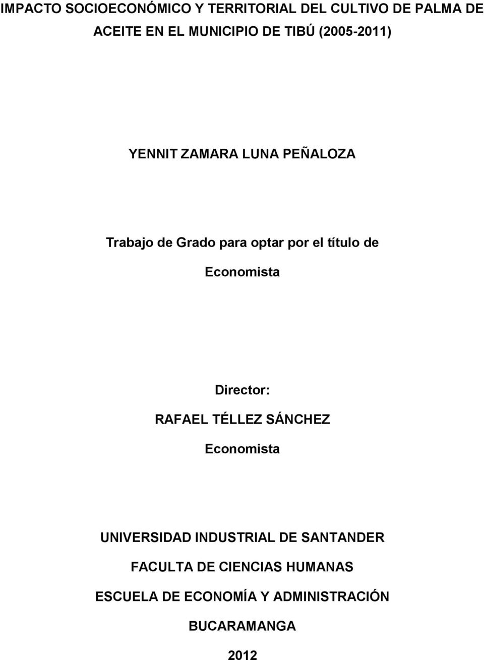 de Economista Director: RAFAEL TÉLLEZ SÁNCHEZ Economista UNIVERSIDAD INDUSTRIAL DE