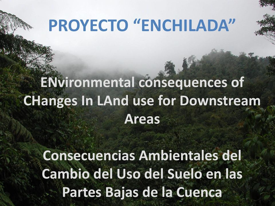 Downstream Areas Consecuencias Ambientales
