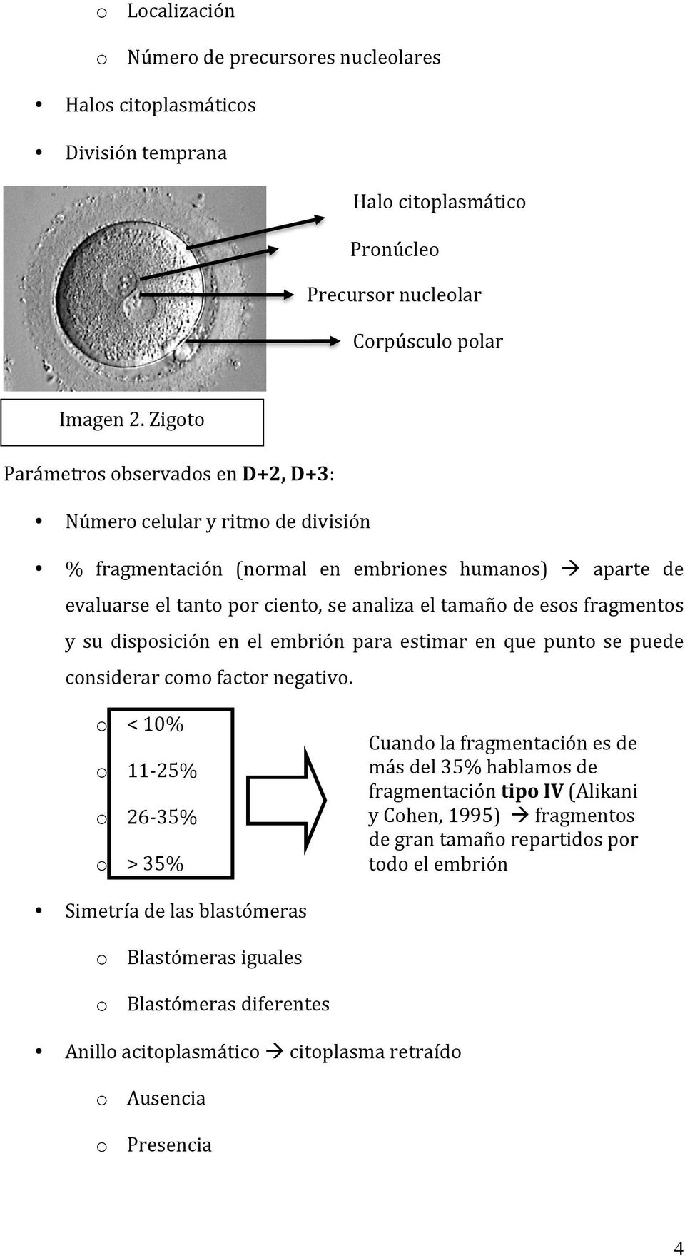 fragmentos y su disposición en el embrión para estimar en que punto se puede considerar como factor negativo.