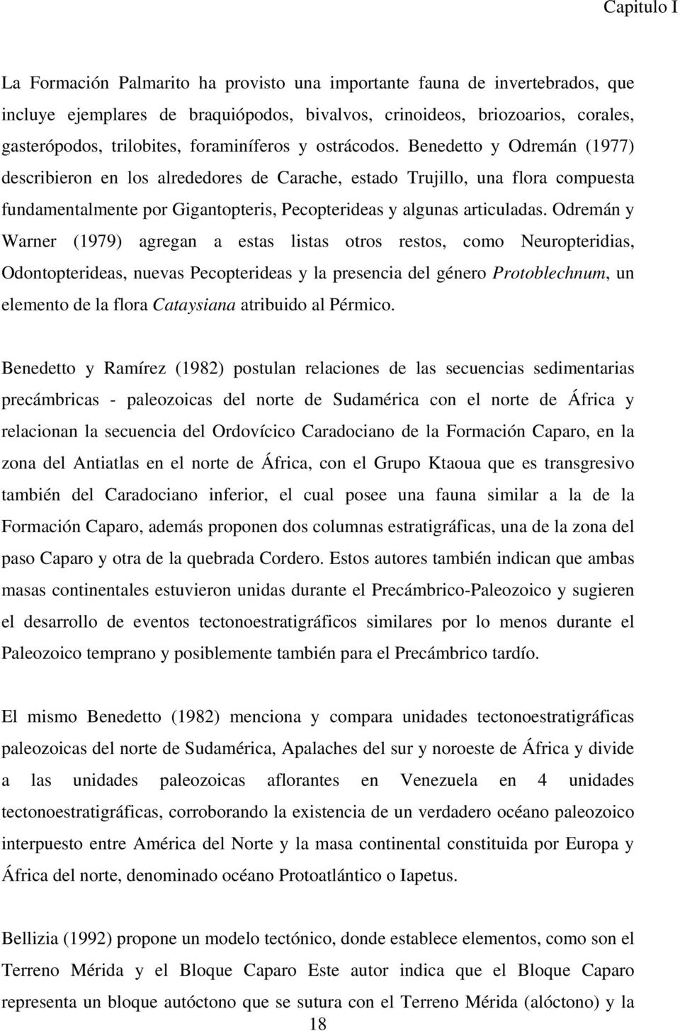 Benedetto y Odremán (1977) describieron en los alrededores de Carache, estado Trujillo, una flora compuesta fundamentalmente por Gigantopteris, Pecopterideas y algunas articuladas.