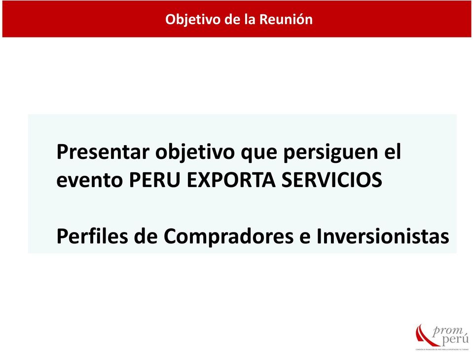 PERU EXPORTA SERVICIOS Perfiles