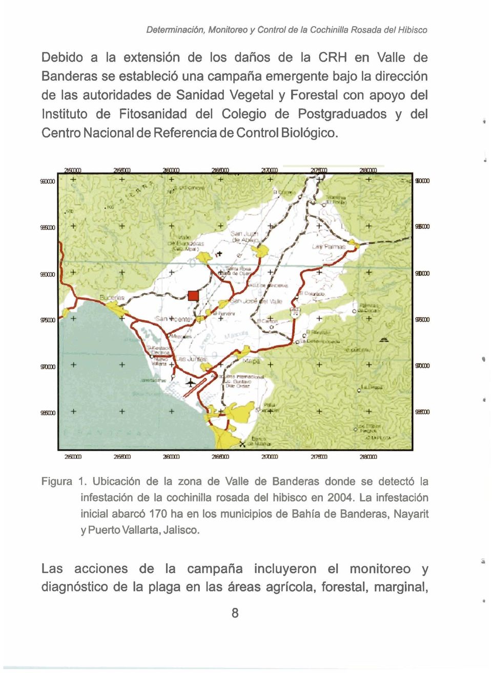 Biológico. Figura 1. Ubicación de la zona de Valle de Banderas donde se detectó la infestación de la cochinilla rosada del hibisco en 2004.