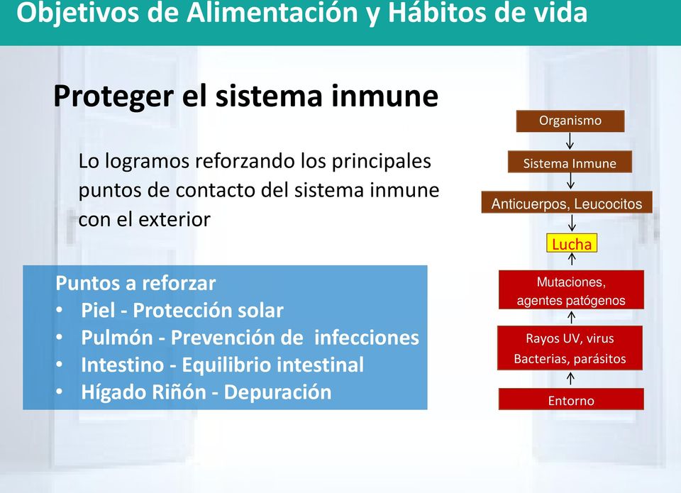 Pulmón - Prevención de infecciones Intestino - Equilibrio intestinal Hígado Riñón - Depuración Organismo