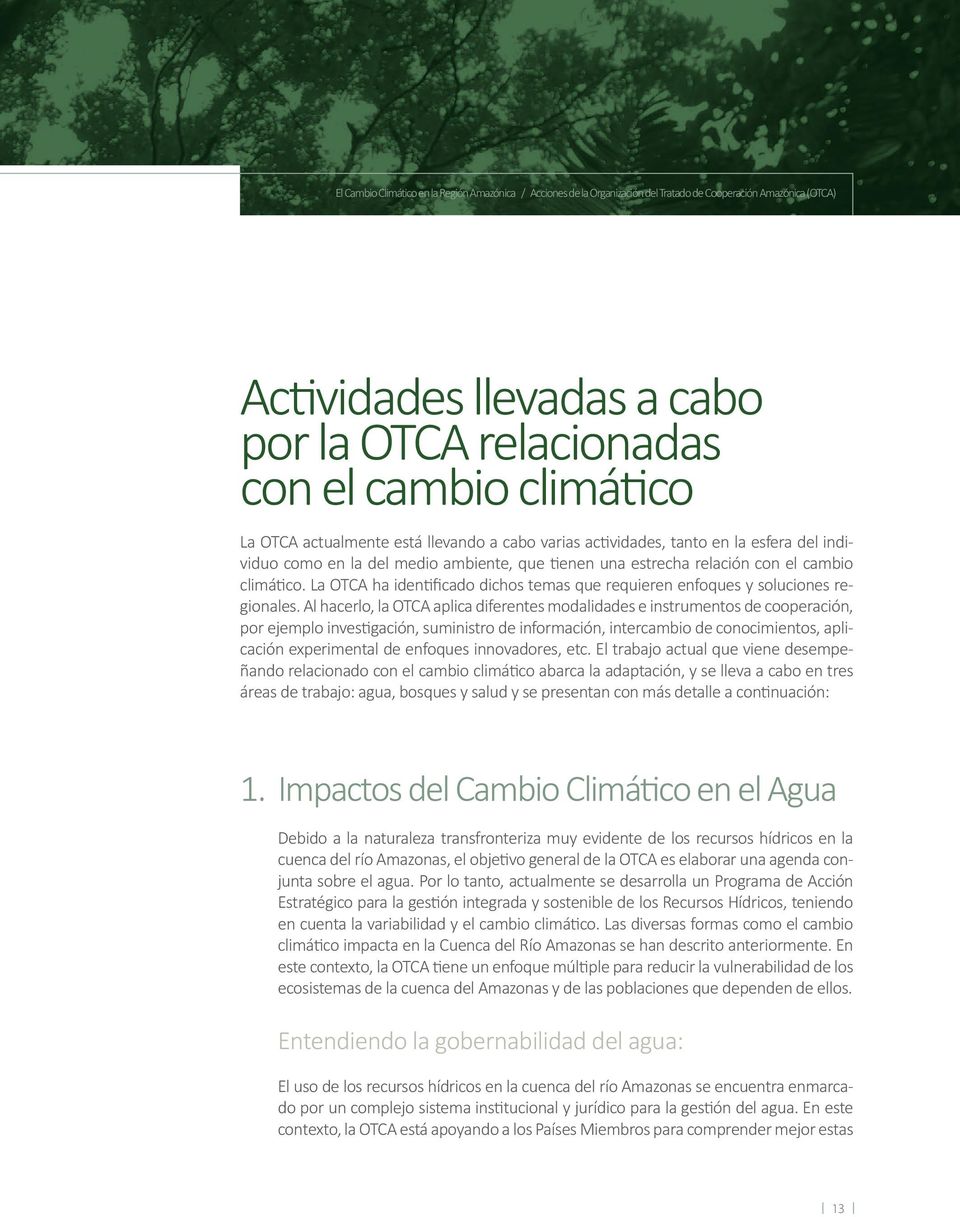 La OTCA ha identificado dichos temas que requieren enfoques y soluciones regionales.