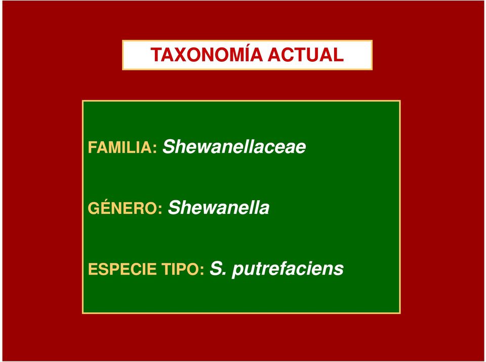 Shewanellaceae GÉNERO: