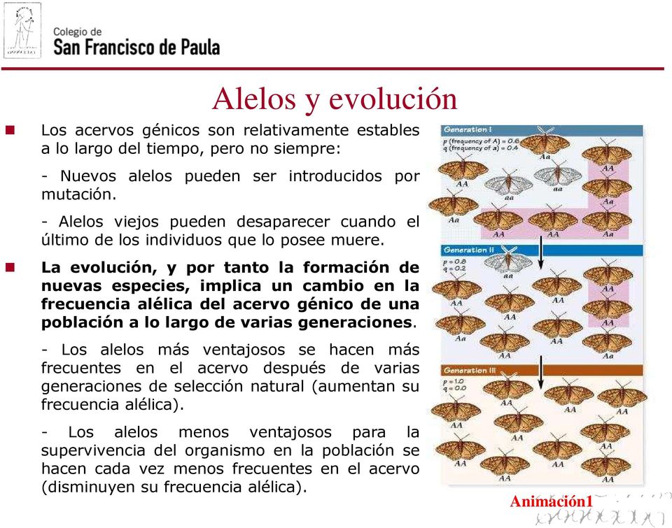La evolución, y por tanto la formación de nuevas especies, implica un cambio en la frecuencia alélica del acervo génico de una población a lo largo de varias generaciones.