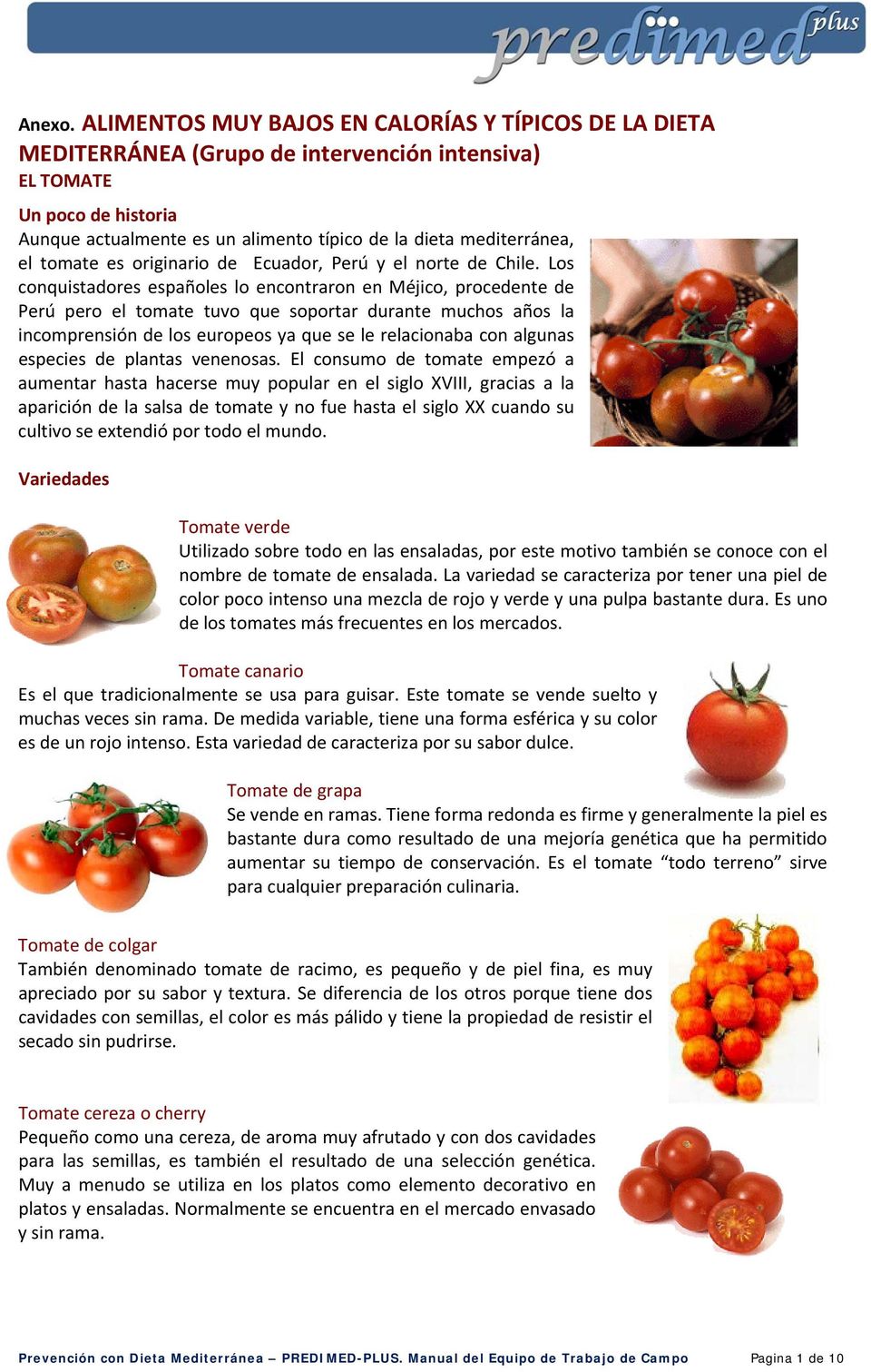 el tomate es originario de Ecuador, Perú y el norte de Chile.