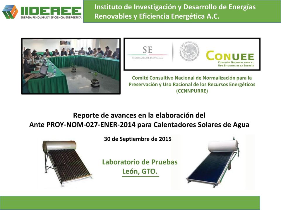 Recursos Energéticos (CCNNPURRE) Reporte de avances en la elaboración del Ante