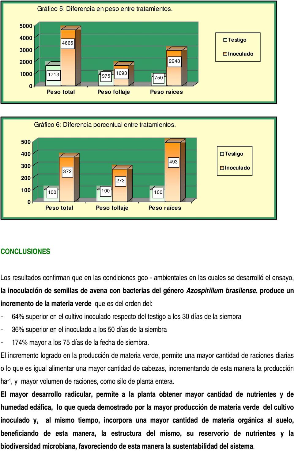 Azospirillum brasilense, produce un incremento de la materia verde que es del orden del: - 64% superior en el cultivo inoculado respecto del tes tigo a los 3 días de la siembra - 36% superior en el